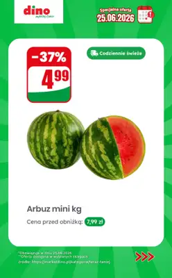 Dino - gazetka promocyjna Specjalna oferta na 25.06.2026 - promocje spoza gazetki od czwartku 25.06 do czwartku 25.06 - strona 5