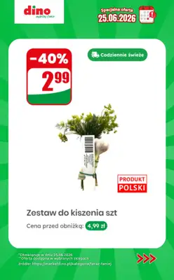 Dino - gazetka promocyjna Specjalna oferta na 25.06.2026 - promocje spoza gazetki od czwartku 25.06 do czwartku 25.06 - strona 8