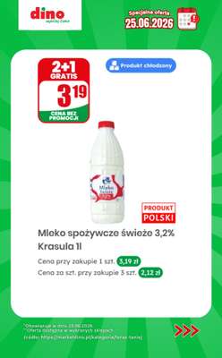 Dino - gazetka promocyjna Specjalna oferta na 25.06.2026 - promocje spoza gazetki od czwartku 25.06 do czwartku 25.06 - strona 7