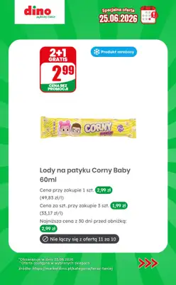 Dino - gazetka promocyjna Specjalna oferta na 25.06.2026 - promocje spoza gazetki od czwartku 25.06 do czwartku 25.06 - strona 10