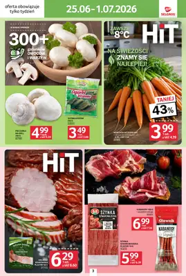 Selgros - gazetka promocyjna Jeszcze więcej super promocji! od czwartku 25.06 do środy 01.07 - strona 3