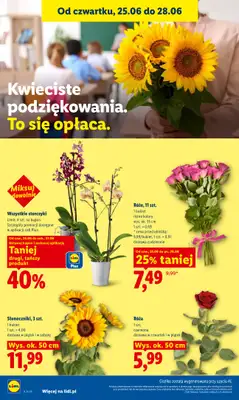 Lidl - gazetka promocyjna Oferta od czwartku od czwartku 25.06 do niedzieli 28.06 - strona 42