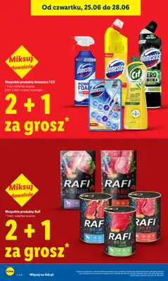 Lidl - gazetka promocyjna Oferta od czwartku od czwartku 25.06 do niedzieli 28.06 - strona 22