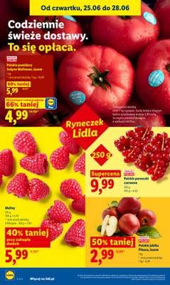 Lidl - gazetka promocyjna Oferta od czwartku od czwartku 25.06 do niedzieli 28.06 - strona 40