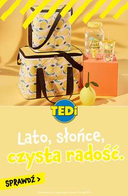 Tedi - gazetka promocyjna Najlepsze artykuły na lato od czwartku 25.06 