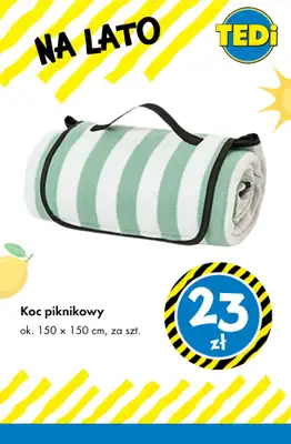 Tedi - gazetka promocyjna Najlepsze artykuły na lato od czwartku 25.06  - strona 10