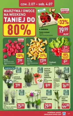 Aldi - gazetka promocyjna Warszawa, ul. Gen. K. S. Rudnickiego 5, WIELKIE OTWARCIE już w ŚRODĘ! od środy 01.07 do soboty 04.07 - strona 27