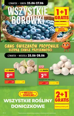 Biedronka - gazetka promocyjna Od czwartku od czwartku 25.06 do środy 01.07 - strona 22