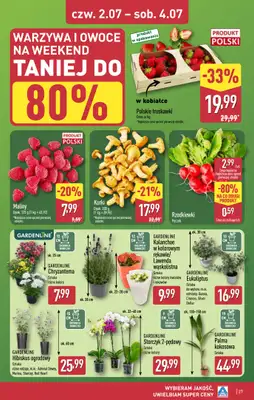 Aldi - gazetka promocyjna Ostrołęka, ppłk. Cieplińskiego "Pługa" 2, WIELKIE OTWARCIE już w ŚRODĘ od środy 01.07 do soboty 04.07 - strona 27