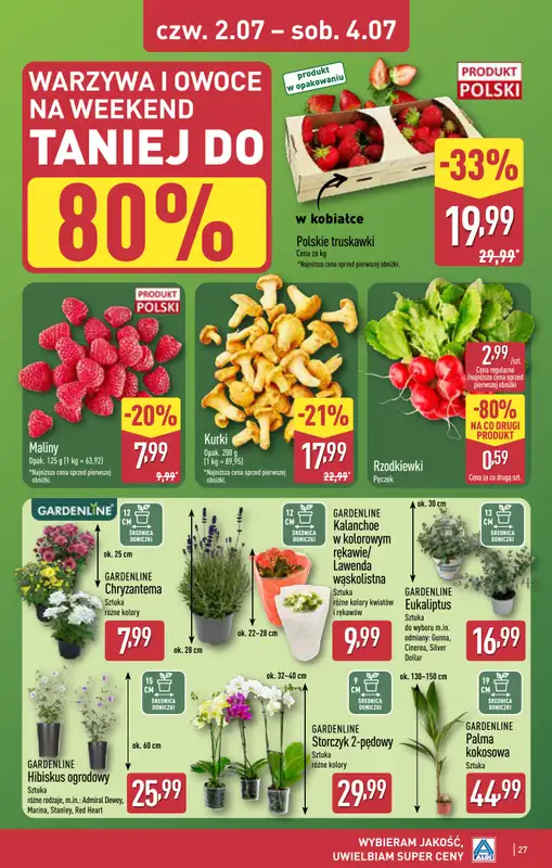 Aldi - gazetka promocyjna Ostrołęka, ppłk. Cieplińskiego "Pługa" 2, WIELKIE OTWARCIE już w ŚRODĘ od środy 01.07 do soboty 04.07 - strona 27