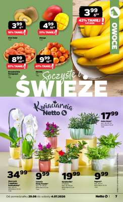Netto - gazetka promocyjna Gazetka Spożywcza od poniedziałku 29.06 do soboty 04.07 - strona 7