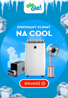 OleOle! - gazetka promocyjna Wentylatory i klimatyzatory na upały od czwartku 25.06 
