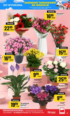POLOmarket - gazetka promocyjna Gazetka od środy 24.06 do wtorku 30.06 - strona 63