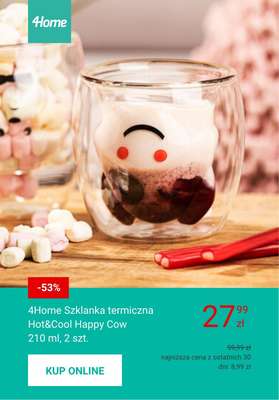 4home - gazetka promocyjna Naczynia termiczne w niskich cenach od czwartku 25.06  - strona 6