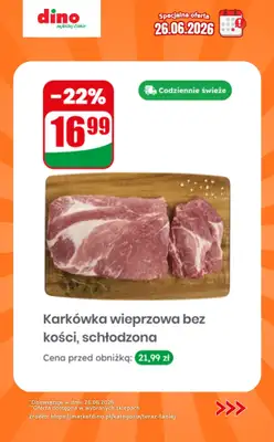 Dino - gazetka promocyjna Specjalna oferta na 26.06.2026 - promocje spoza gazetki od piątku 26.06 do piątku 26.06 - strona 2