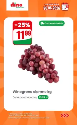 Dino - gazetka promocyjna Specjalna oferta na 26.06.2026 - promocje spoza gazetki od piątku 26.06 do piątku 26.06 - strona 10