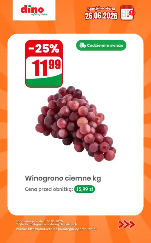 Dino - gazetka promocyjna Specjalna oferta na 26.06.2026 - promocje spoza gazetki od piątku 26.06 do piątku 26.06 - strona 10