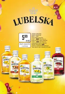 Dino - gazetka promocyjna Katalog alkoholowy - czerwiec 2026ㅤㅤ od poniedziałku 29.06 do soboty 04.07 - strona 6