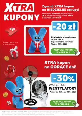 Kaufland - gazetka promocyjna Oferta Kaufland - SUPER WEEKEND od soboty 27.06 do niedzieli 28.06 - strona 5