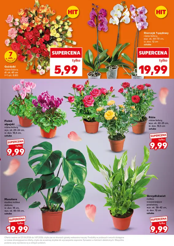 Kaufland - gazetka promocyjna Mocny Start od poniedziałku 29.06 do środy 01.07 - strona 7