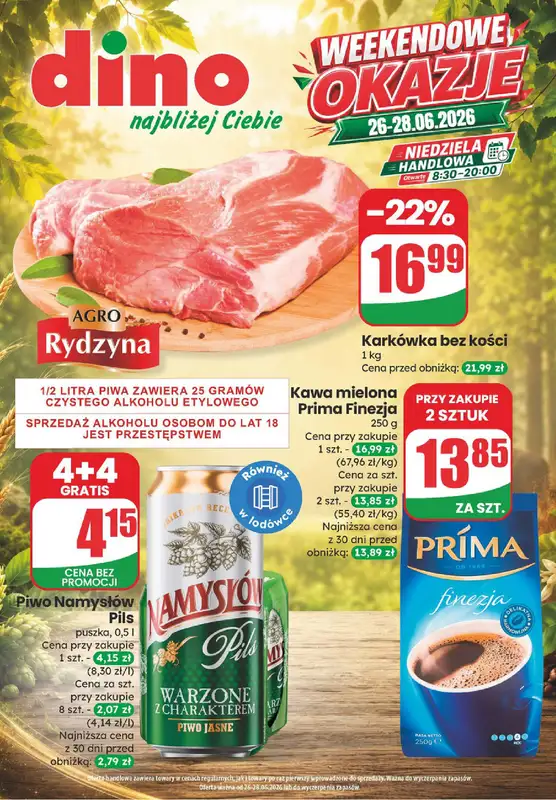 Dino - gazetka promocyjna Katalog / Weekendowe Okazje  