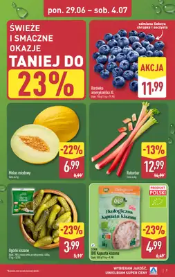 Aldi - gazetka promocyjna Pełny katalog! od poniedziałku 29.06 do soboty 04.07 - strona 7
