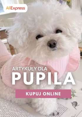 AliExpress - gazetka promocyjna Artykuły dla PUPILA od piątku 26.06 