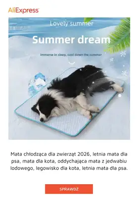 AliExpress - gazetka promocyjna Artykuły dla PUPILA od piątku 26.06  - strona 7