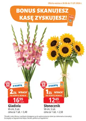 Leclerc - gazetka promocyjna Kupuj tanio z bonus od wtorku 30.06 do soboty 11.07 - strona 20