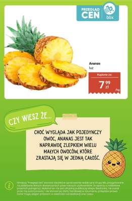 Biedronka - gazetka promocyjna Owoce i warzywa - przegląd cen i ciekawostki od poniedziałku 29.06 do soboty 04.07 - strona 13