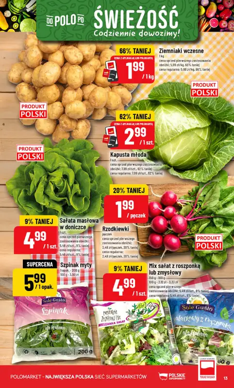 POLOmarket - gazetka promocyjna Gazetka od środy 24.06 do wtorku 30.06 - strona 13