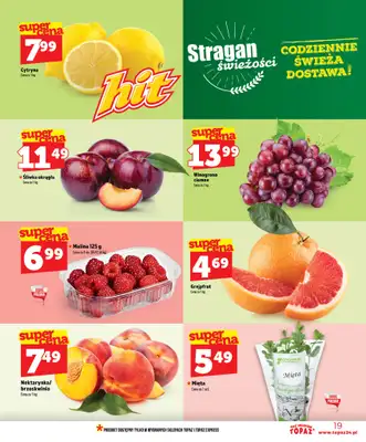 TOPAZ - gazetka promocyjna Nowa gazetka od czwartku, 02.07 od czwartku 02.07 do środy 08.07 - strona 19