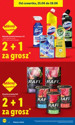 Lidl - gazetka promocyjna Oferta od czwartku od czwartku 25.06 do niedzieli 28.06 - strona 22