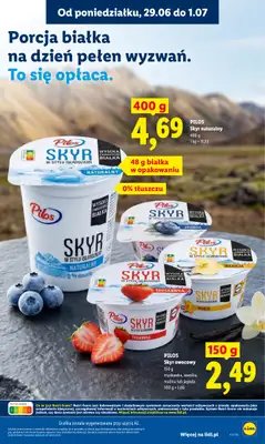 Lidl - gazetka promocyjna Oferta od poniedziałku od poniedziałku 29.06 do środy 01.07 - strona 45