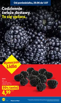 Lidl - gazetka promocyjna Oferta od poniedziałku od poniedziałku 29.06 do środy 01.07 - strona 8