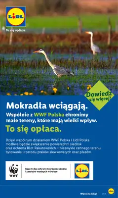 Lidl - gazetka promocyjna Oferta od poniedziałku od poniedziałku 29.06 do środy 01.07 - strona 84