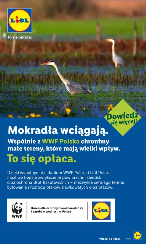 Lidl - gazetka promocyjna Oferta od poniedziałku od poniedziałku 29.06 do środy 01.07 - strona 84