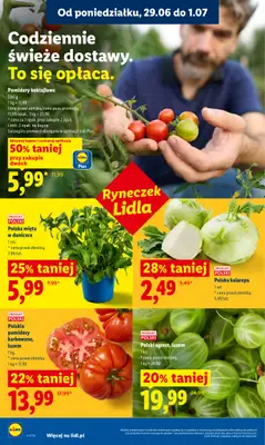 Lidl - gazetka promocyjna Oferta od poniedziałku od poniedziałku 29.06 do środy 01.07 - strona 32