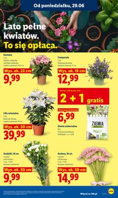 Lidl - gazetka promocyjna Oferta od poniedziałku od poniedziałku 29.06 do środy 01.07 - strona 83