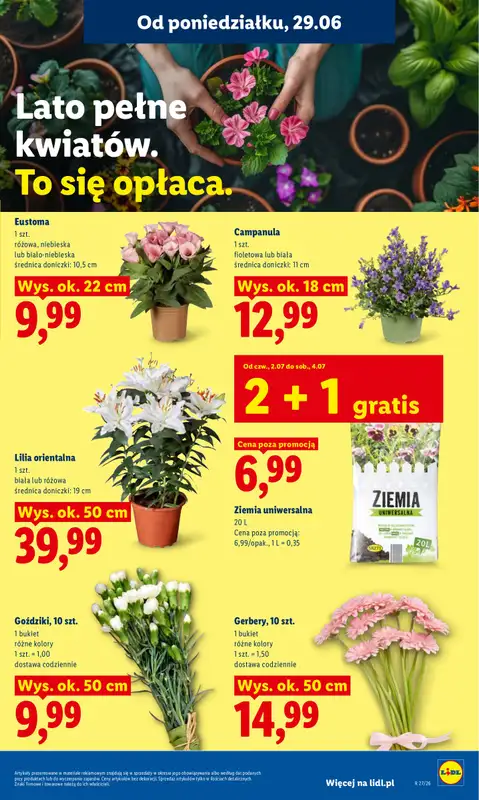 Lidl - gazetka promocyjna Oferta od poniedziałku od poniedziałku 29.06 do środy 01.07 - strona 83