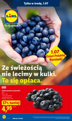 Lidl - gazetka promocyjna Oferta od poniedziałku od poniedziałku 29.06 do środy 01.07 - strona 34