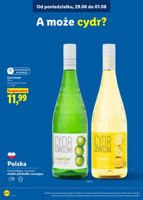 Lidl - gazetka promocyjna Karta win  do soboty 01.08 - strona 25