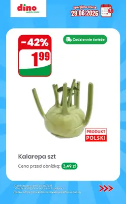 Dino - gazetka promocyjna Specjalna oferta na 29.06.2026 - promocje spoza gazetki od poniedziałku 29.06 do poniedziałku 29.06 - strona 8