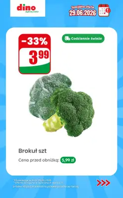 Dino - gazetka promocyjna Specjalna oferta na 29.06.2026 - promocje spoza gazetki od poniedziałku 29.06 do poniedziałku 29.06 - strona 11