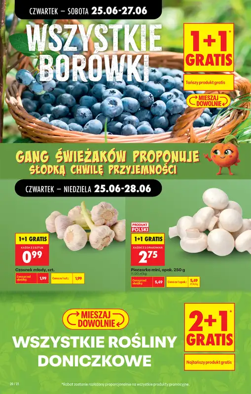 Biedronka - gazetka promocyjna Od czwartku od czwartku 25.06 do środy 01.07 - strona 26