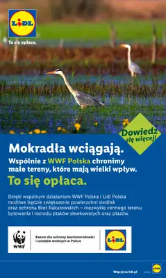 Lidl - gazetka promocyjna Oferta od poniedziałku od poniedziałku 29.06 do środy 01.07 - strona 84