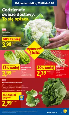 Lidl - gazetka promocyjna Oferta od poniedziałku od poniedziałku 29.06 do środy 01.07 - strona 31