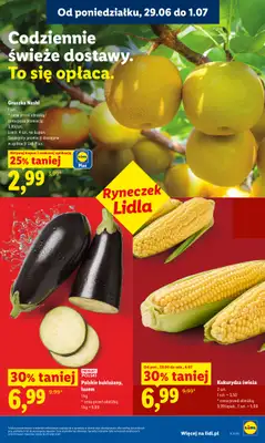 Lidl - gazetka promocyjna Oferta od poniedziałku od poniedziałku 29.06 do środy 01.07 - strona 33