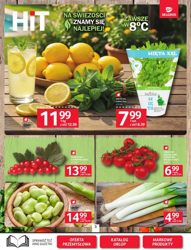 Selgros - gazetka promocyjna Oferta spożywcza od czwartku 02.07 do środy 15.07 - strona 3