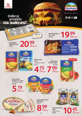 Selgros - gazetka promocyjna Katalog Markowe Produkty od czwartku 02.07 do środy 15.07 - strona 4